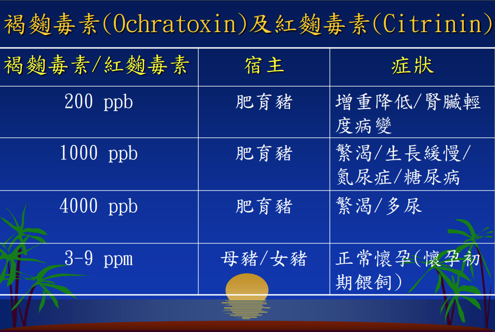 黴菌毒素